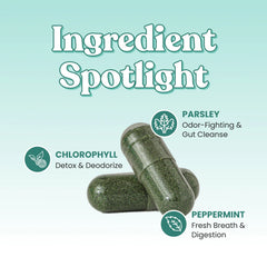 Body Odor Fighter Bundle